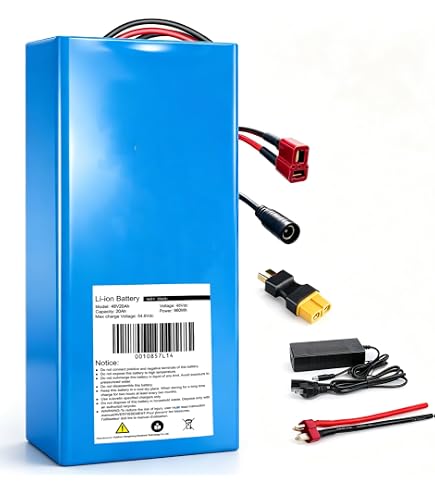 Amazon.com : CXZCXZ 48V20Ah Universal Power Pack, 48V/52V Battery